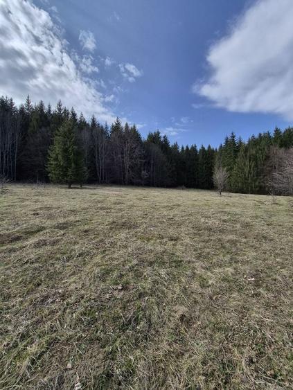 Teren intravilan la baza pădurii Valea Doftanei sat Traisteni (poduri) - 13