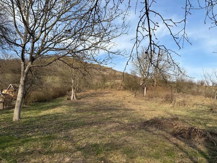 Casa de vanzare in Troi?a - 3