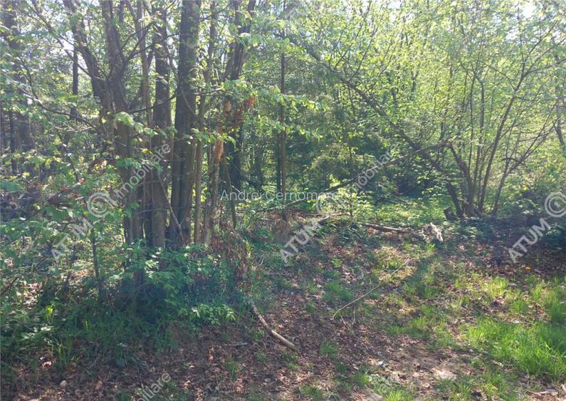 Teren intravilan 1300 mp de pe Valea Avrigului in zona Mlac