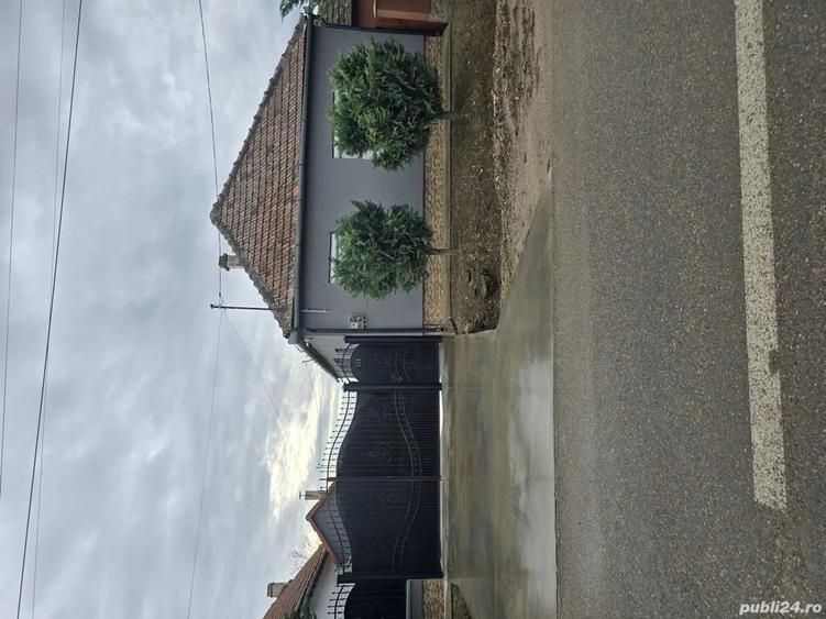 Vand casa cu gradina in Ciumeghiu - 10