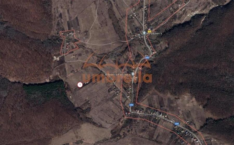 De vanzare teren 2.900m&Acirc;˛/42&acirc;Ź m&Acirc;˛   Chinteni-Padureni ! - 3