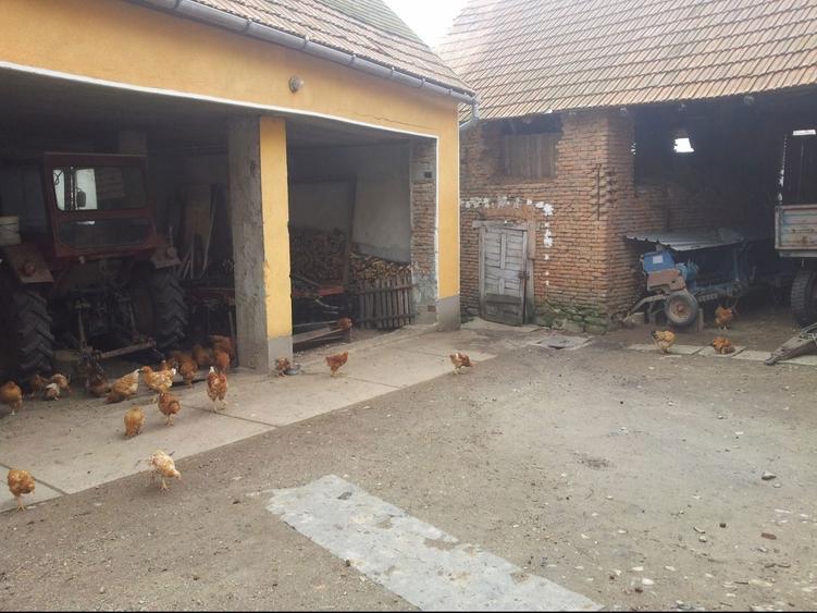 Casa individuala de vanzare curte si gradina suprafata 1500mp - 2