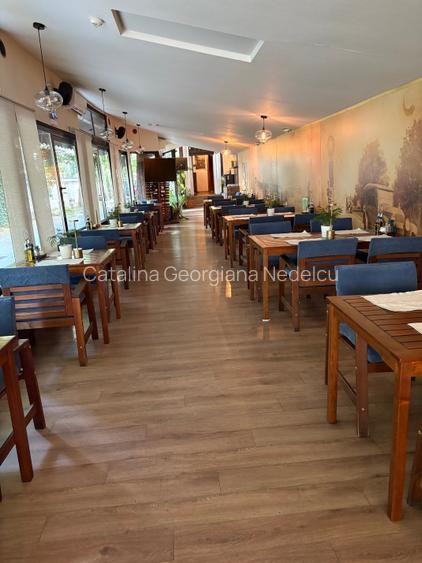 Ion Mihalache, Arcul de Triumf, spatiu comercial, 350mp, 3800Euro/luna Ion Mihalache, Arcul de Triumf, spatiu comercial, 350mp, 3800Euro/luna