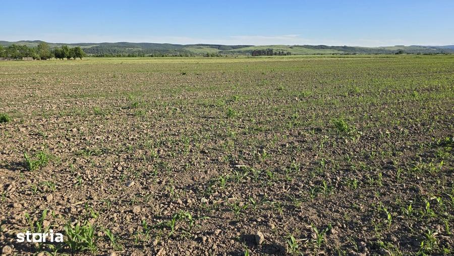 Parcele teren intravilan in Ciceu Mihaiesti - 2900 mp si 2495 mp - 4
