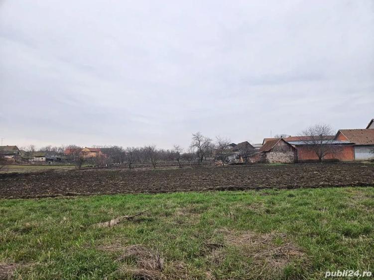 vand casa vinga mailat - 3