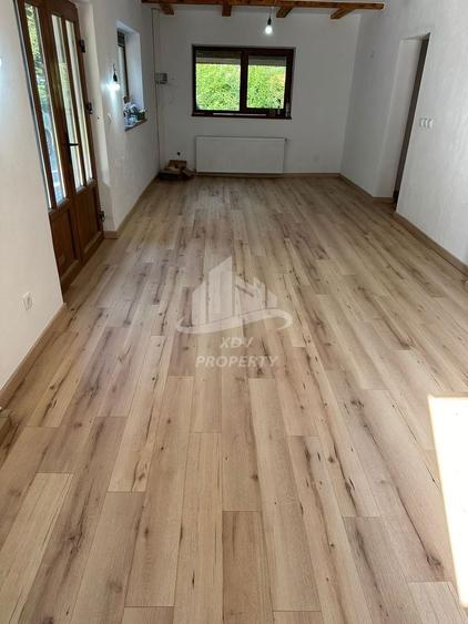 Pensiune/ Vila Valea Avrigului - 10