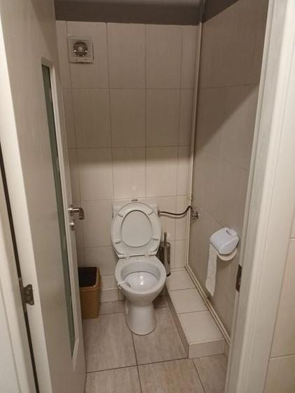 Vila la inchiriere in zona Mosilor - 5