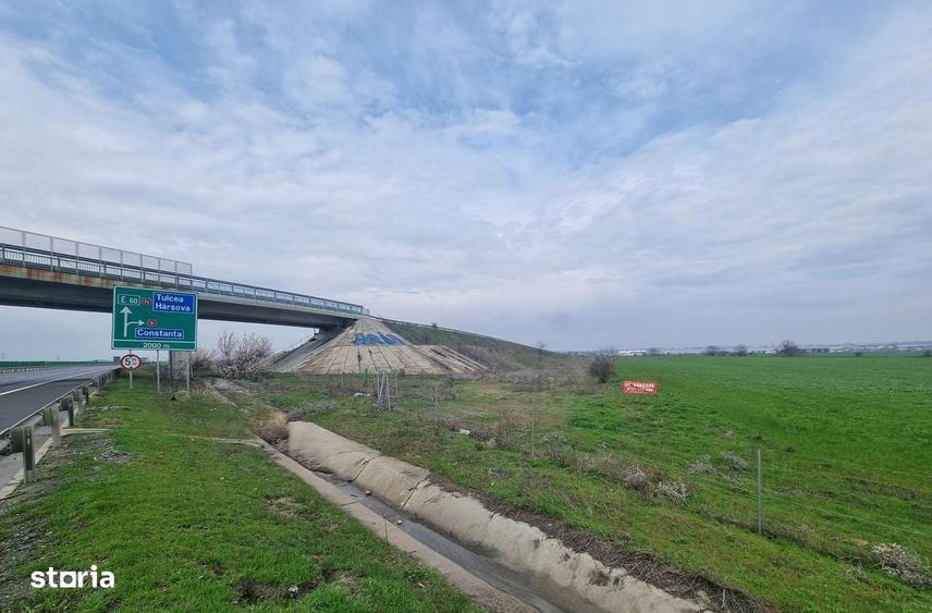 Teren zona hale Ovidiu - 2