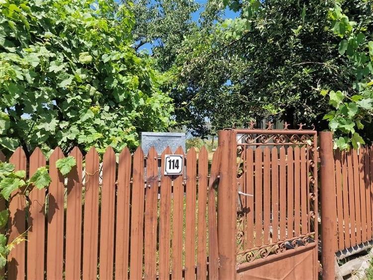 Casa traditionala, cu 2.000mp teren roditor, Izvoarele, Prahova - 7