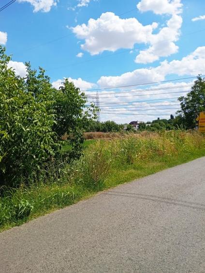 TEREN INTRAVILAN 8300 MP SECTOR 3 ZONA NICOLAE TECLU CEL MAI MIC PRET 431.600 Eu - 1