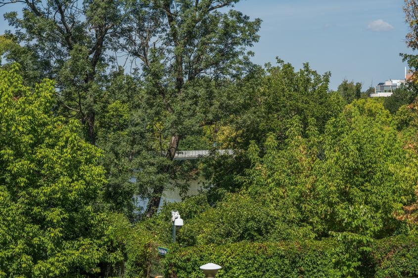 Malul lacului Bordei,Cartier Primaverii,apartament 4 cam (190mp utili) - 15