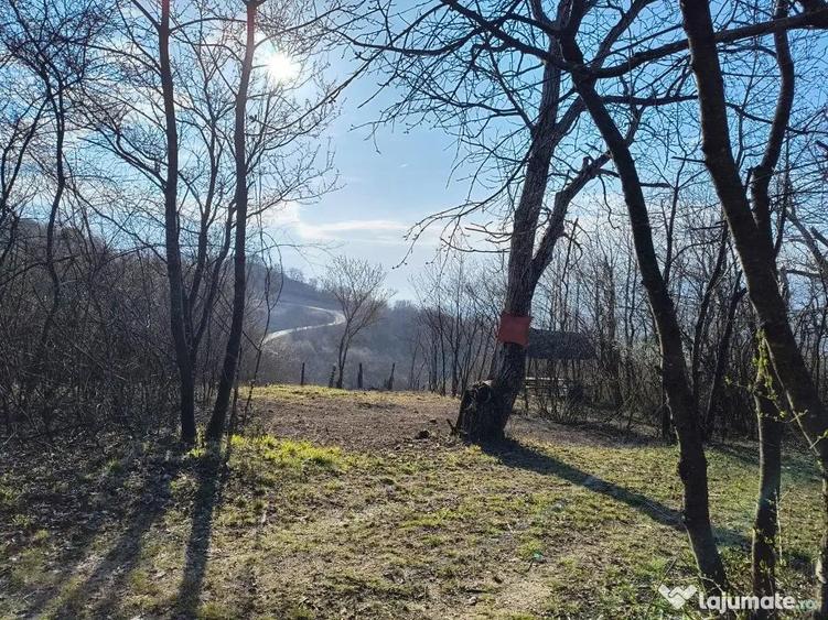 Teren cu vita de vie comuna Cristian judetul Sibiu 500mp - 1