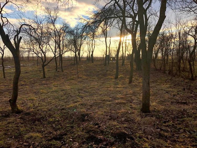 Teren de 1300 mp, în Săcădate