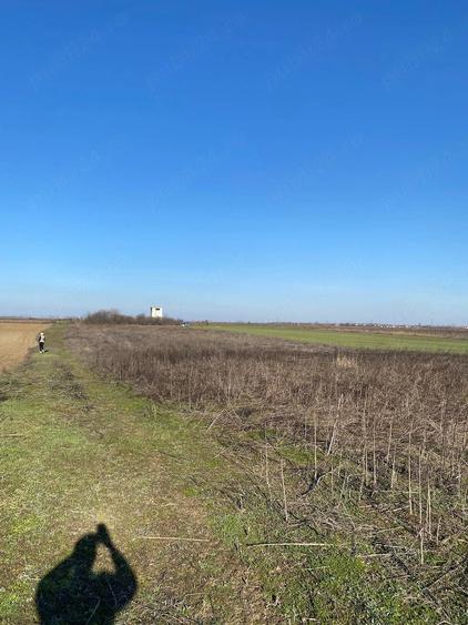 Teren de 5800 mp, în Corbii Mari