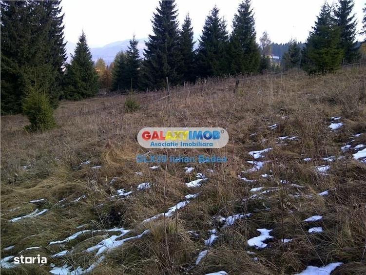 Spațiu comercial, în Central