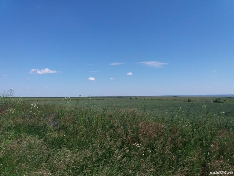 Teren de 4200 mp, în Tulucești