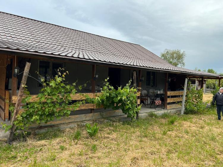 De vanzare-Casa cu teren generis,zona linistita,la doar 5km de Scornicesti! - 5