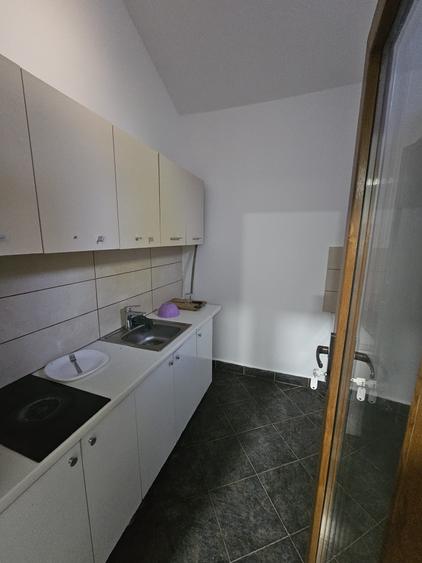 Proprietate speciala Dumbravita - casa individuala !! - 10