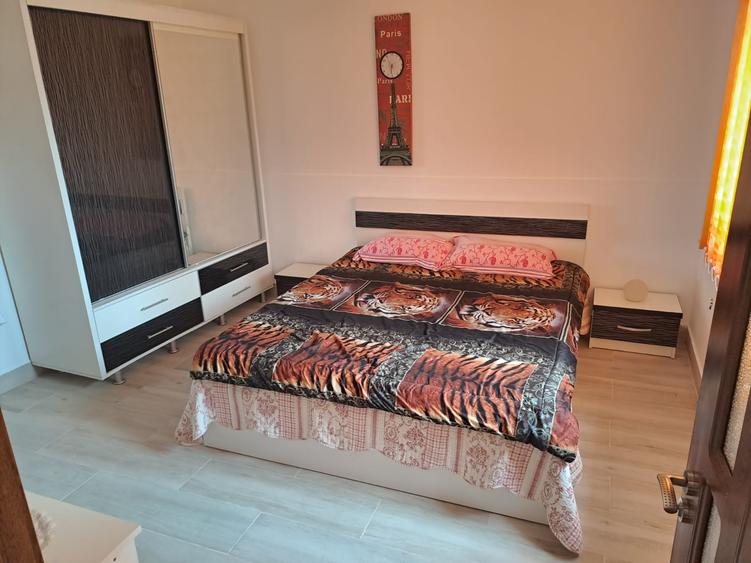 Oltenita - Soldanu, singur curte, complet mobilata si utilata - 10