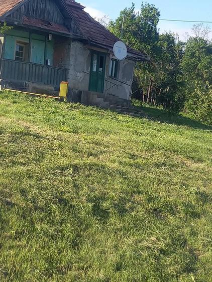 casa la tara de vanzare - 1