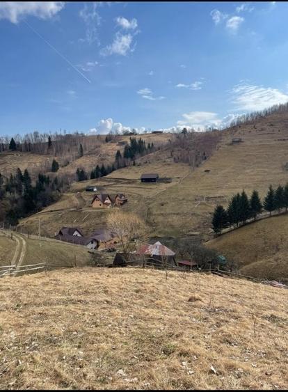 VÂNZARE TEREN CU POTENȚIAL DE DEZVOLTARE ÎN ZONA TURISTICĂ MAGURA-PESTERA - 11