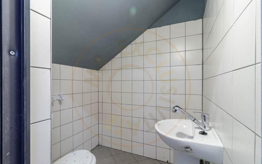 Hala / Spatiu Productie / Rezidential - Vedere catre lac - 11