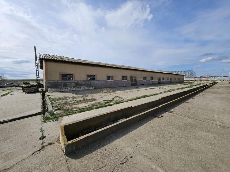 Ferma de vanzare sau la schimb cu teren arabil, imobiliare - 9