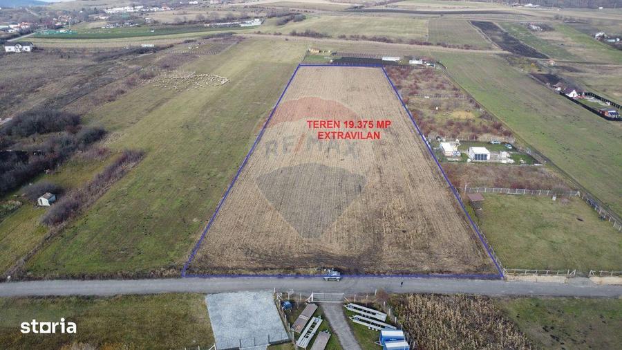 Teren 19.375 mp Dambu Rotund. Potential rezidential. Extravilan - 5
