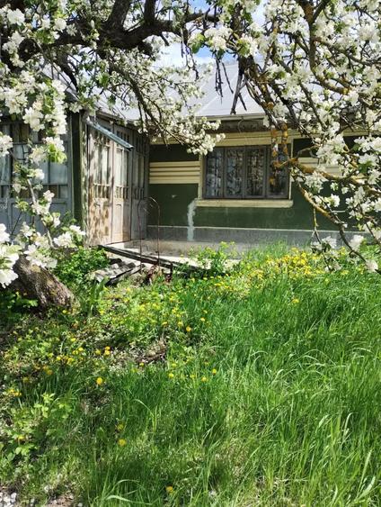 Vand casa si teren in Oltenesti, jud Vaslui - 2