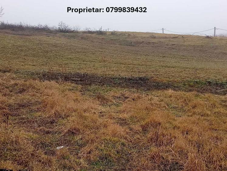 Direct de la proprietar - teren intravilan 820mp Proselnici - 2