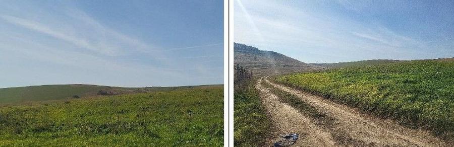 Teren extravilan sat Mineri, ID: R2376975 - 5