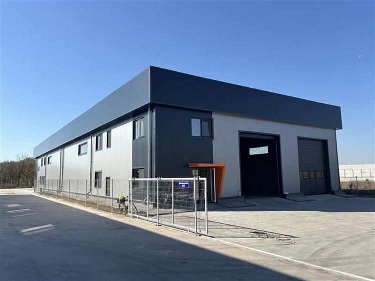 Vanzare depozit/hala/spatiu industrial Chitila - Centura - Rudeni - 9