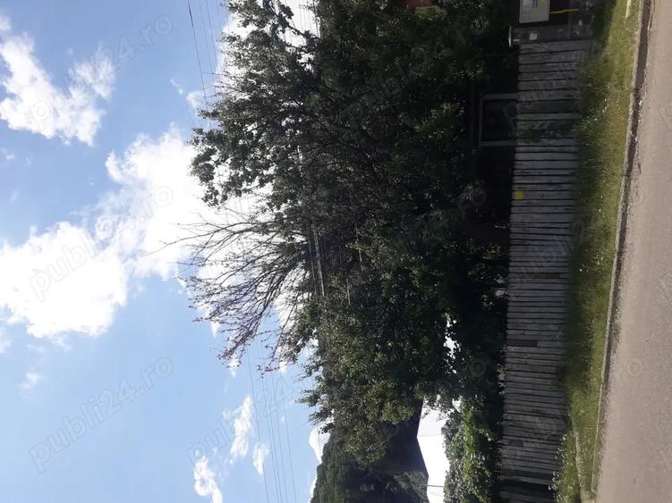 Vand casa in Piatra Neam?. - 2