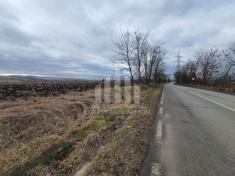 Teren extravilan | De vanzare | 1300 mp | 25 ml deschidere | Ciugud - 2