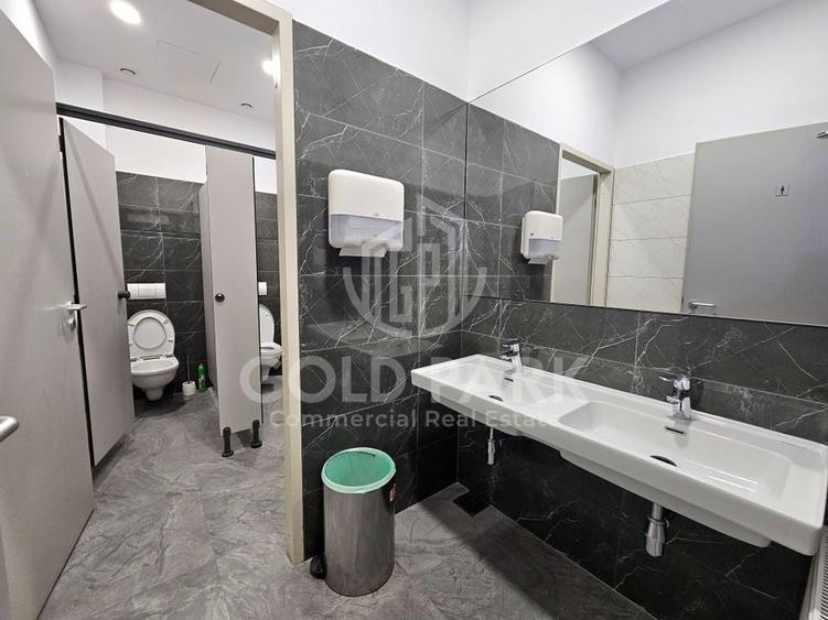 Spatiu de Birouri-Clasa A-Zona Centrala-Suprafete intre 110-700 mp - 8