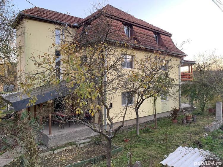 Vand casa mare+65 arii teren intravilan - 4