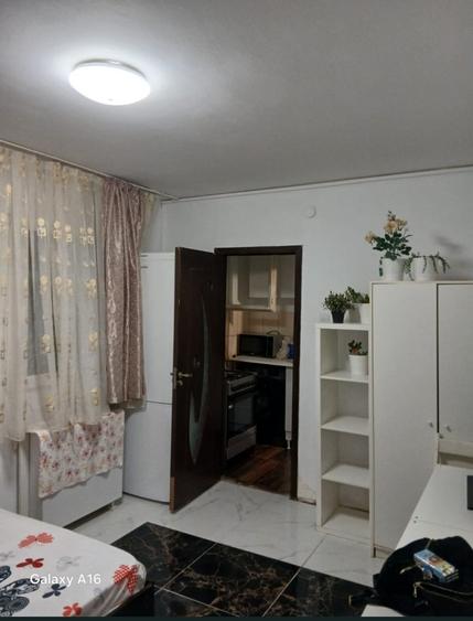 Pantelimon, Spital, parc - 2