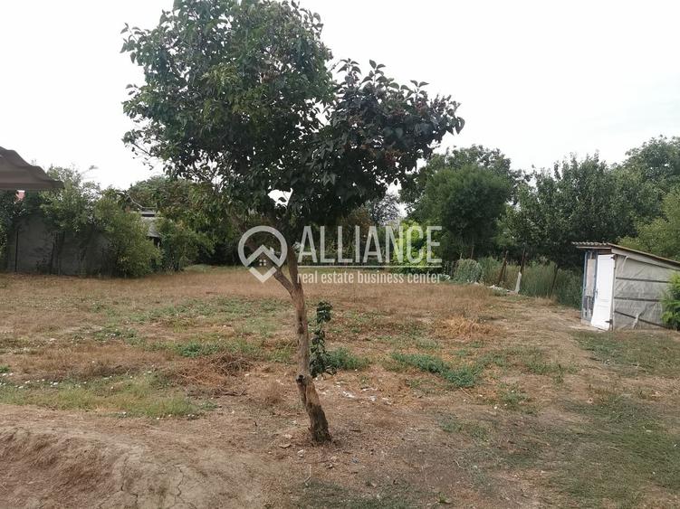 Cumpăna(COD 06) teren cu casa demolabila - 3