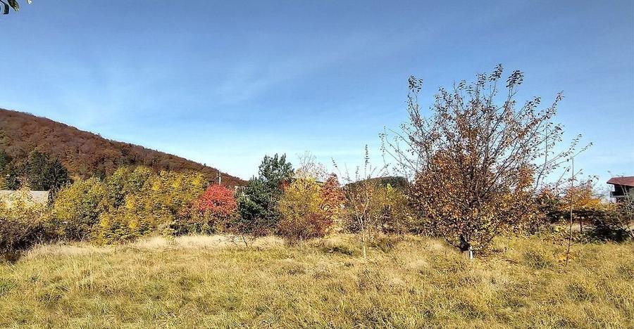 Teren Intravilan Bunloc - 11