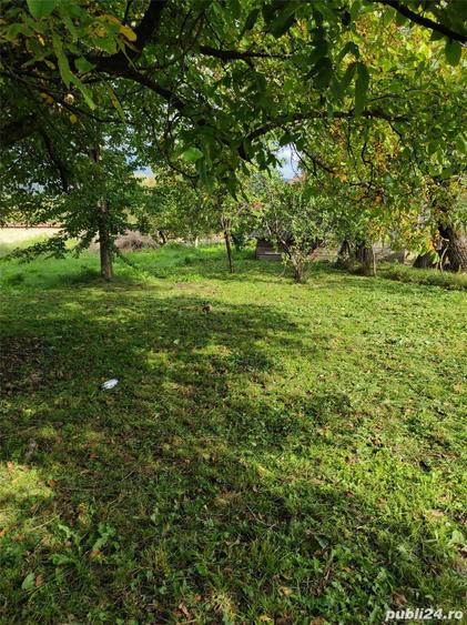 Casa de vanzare Pietroasa - 5