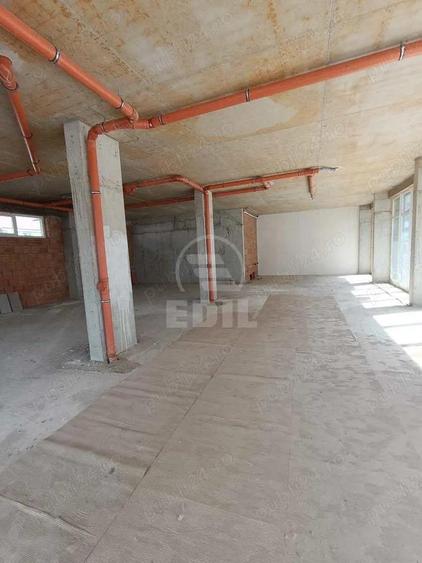 Spatiu comercial, zona Terra - 6