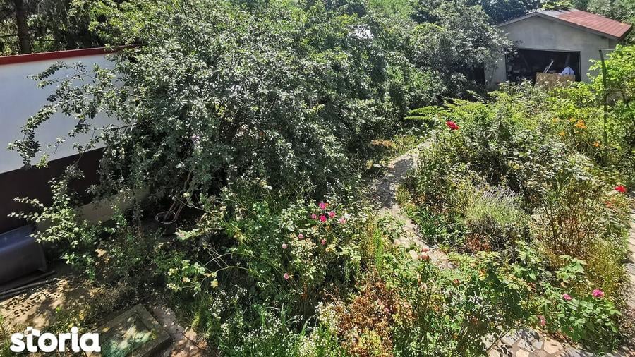 Casa P+1, curte 800 mp in Corbeanca, la sosea - 3