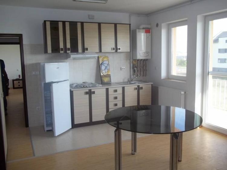 Dumbravita 2 camere 350 euro - 1