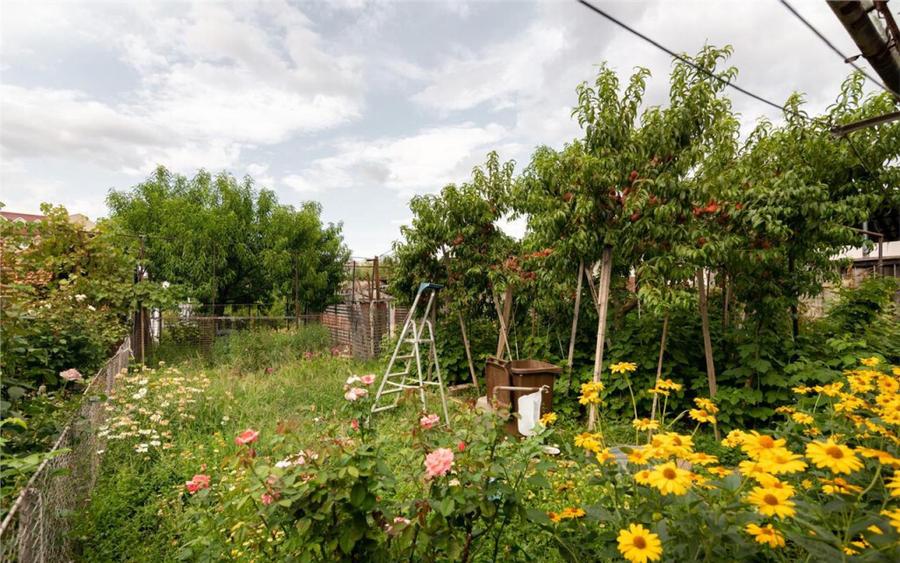 RECO Casa de zona Horia - 17