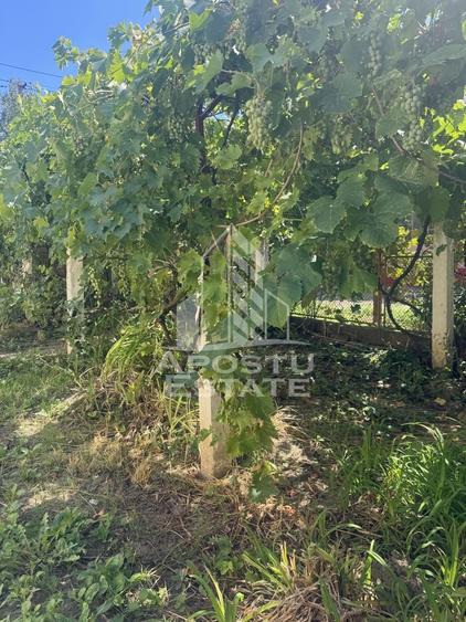 Casă unifamilială cu teren de 1504 mp - 15