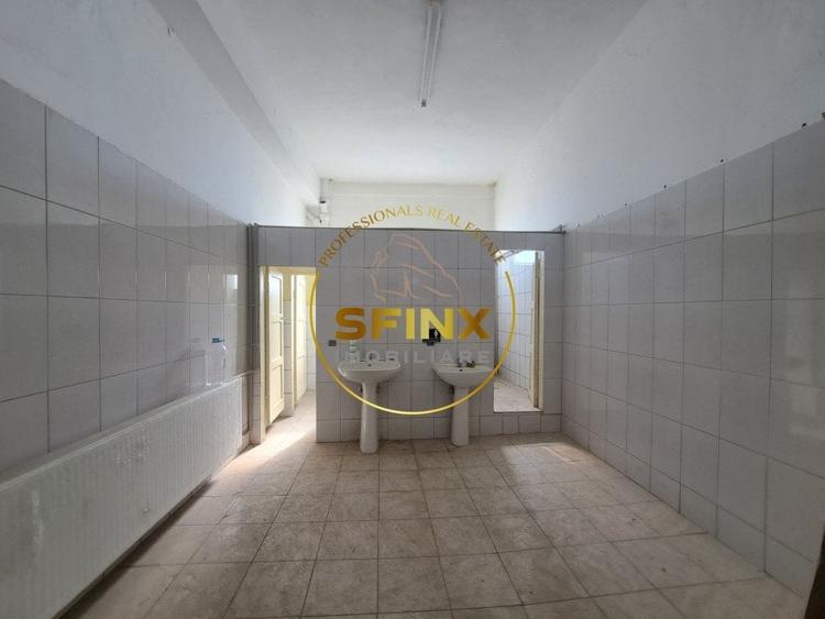 De Vanzare Spatiu Industrial - 7