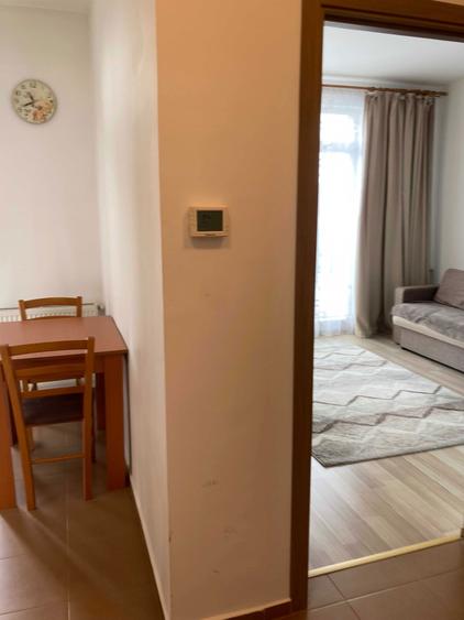 Proprietar, inchiriez garsoniera in Turnisor (Alma) - Sibiu - 8