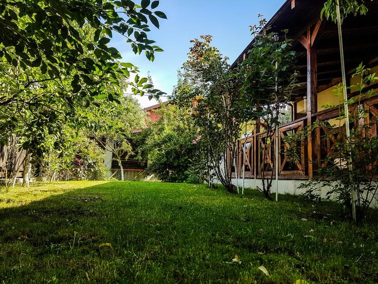 Tartasesti, Gulia - 12