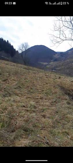 Teren Riu Sadului - 2 ha Acces stradal , zona cu potential turistic - 2