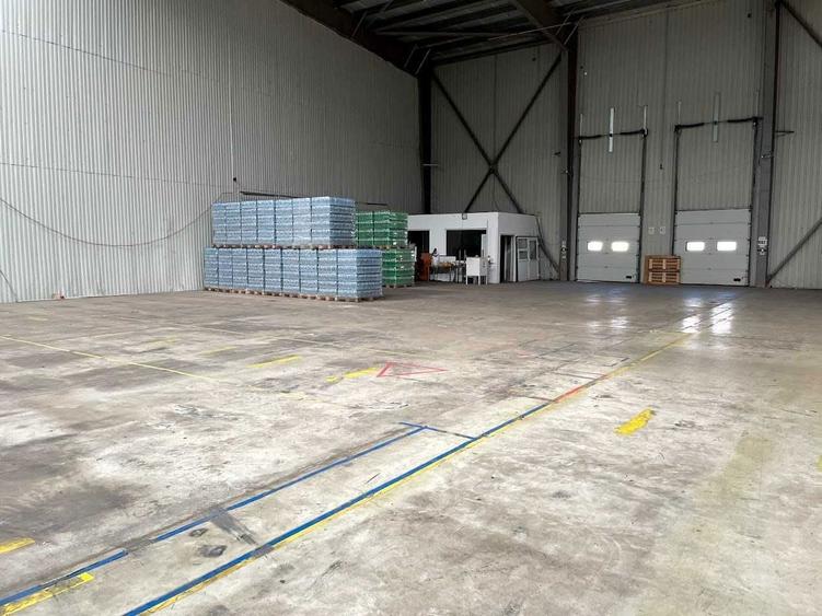 Depozite de inchiriat - Spatiu comerial - 5